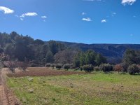 Oppède - Terrain - Groupe Mas Provence