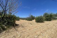 Cabrières-d'Avignon - Terrain - Mas Provence