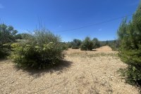 Cabrières-d'Avignon - Terrain - Groupe Mas Provence