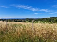 Lorgues - Terrain - Groupe Mas Provence