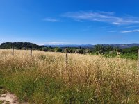 Lorgues - Terrain - Groupe Mas Provence