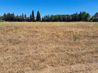 Domazan - Terrain - Mas Provence