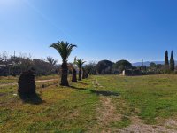 Fréjus - Terrain - Mas Provence