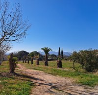 Fréjus - Terrain - Mas Provence