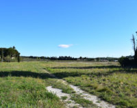 Domazan - Terrain - Mas Provence