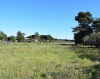 Domazan - Terrain - Groupe Mas Provence