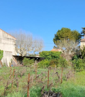 Maillane - Terrain - Groupe Mas Provence