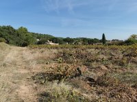 Villelaure - Terrain - Mas Provence