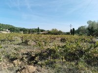 Villelaure - Terrain - Mas Provence