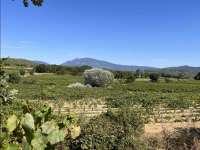 Villedieu - Terrain - Mas Provence
