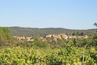 Carcès - Terrain - Mas Provence