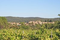 Carcès - Terrain - Mas Provence