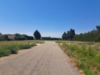 L'Isle-sur-la-Sorgue - Terrain - Mas Provence