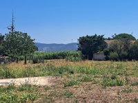 L'Isle-sur-la-Sorgue - Terrain - Mas Provence