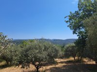 Apt - Terrain - Mas Provence