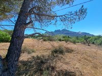 Roquebrune-sur-Argens - Terrain - Mas Provence