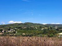 Vaison-la-Romaine - Terrain - Mas Provence