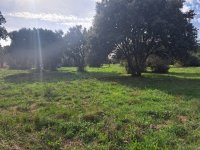 Saint-Siffret - Maison neuve - Mas Provence